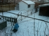 birthday_car-002