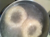 bagels3