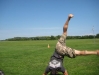 roundoff3