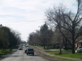 p1013055.jpg