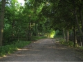 railtrail3.jpg