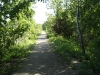 DSC09525.JPG