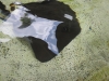 img_0975