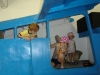 dsc08752.jpg