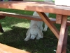 dsc08757.jpg