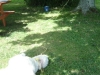 dsc08761.jpg