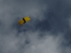 dsc08766.jpg