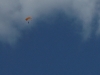 dsc08768.jpg