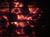 DSC09515.JPG