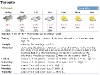 toronto_race_weather