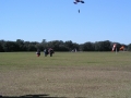 P1011067.jpg
