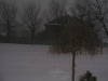 p1010445.jpg
