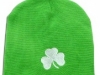 st-patricks-day-shamrock-winte