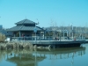 p1012861.jpg