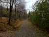 trailrun-013