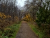 trailrun-014