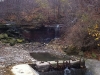 trailrun-025
