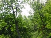P5230205.JPG