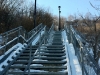 winterrun2
