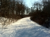 winterrun3