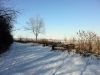 winterrun4