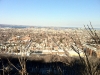 winterrun6