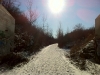 winterrun8